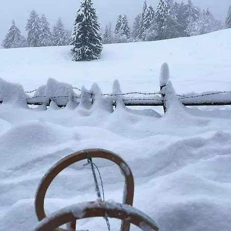 Aparthotel VL-Wohnen Alpin estate