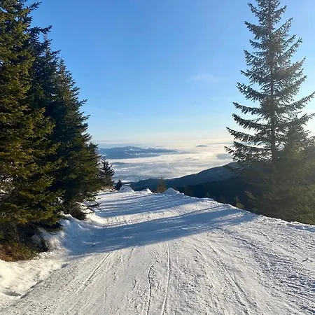 Vl-Wohnen Alpin Estate * Φίλλαχ
